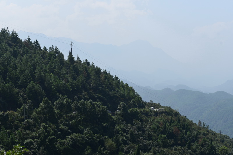 OCO_5228_С.jpg