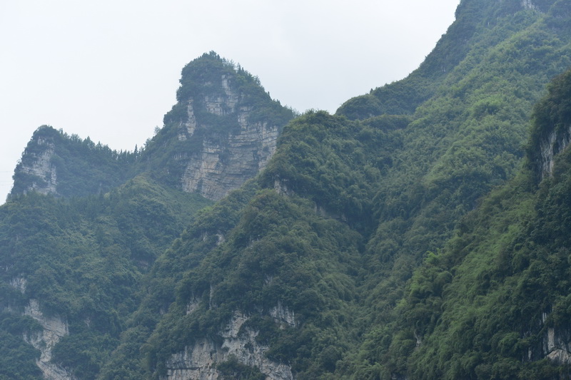 OCO_5438_С.jpg