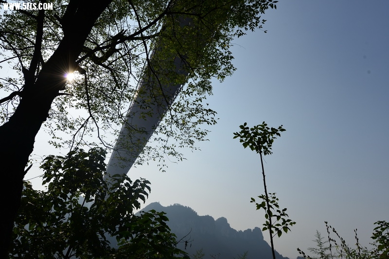OCO_6602_С.jpg