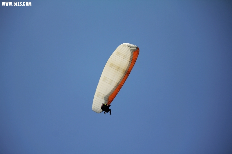 IMG_4143.jpg