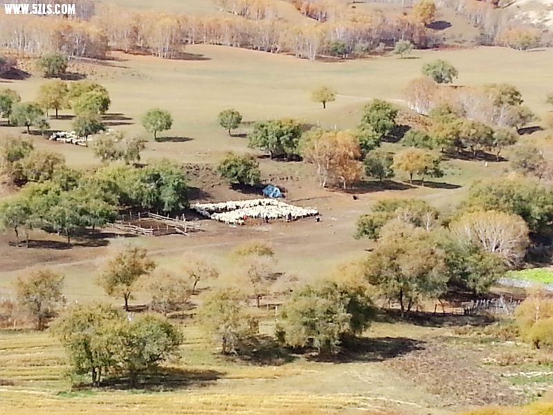 20140930_104138__.jpg