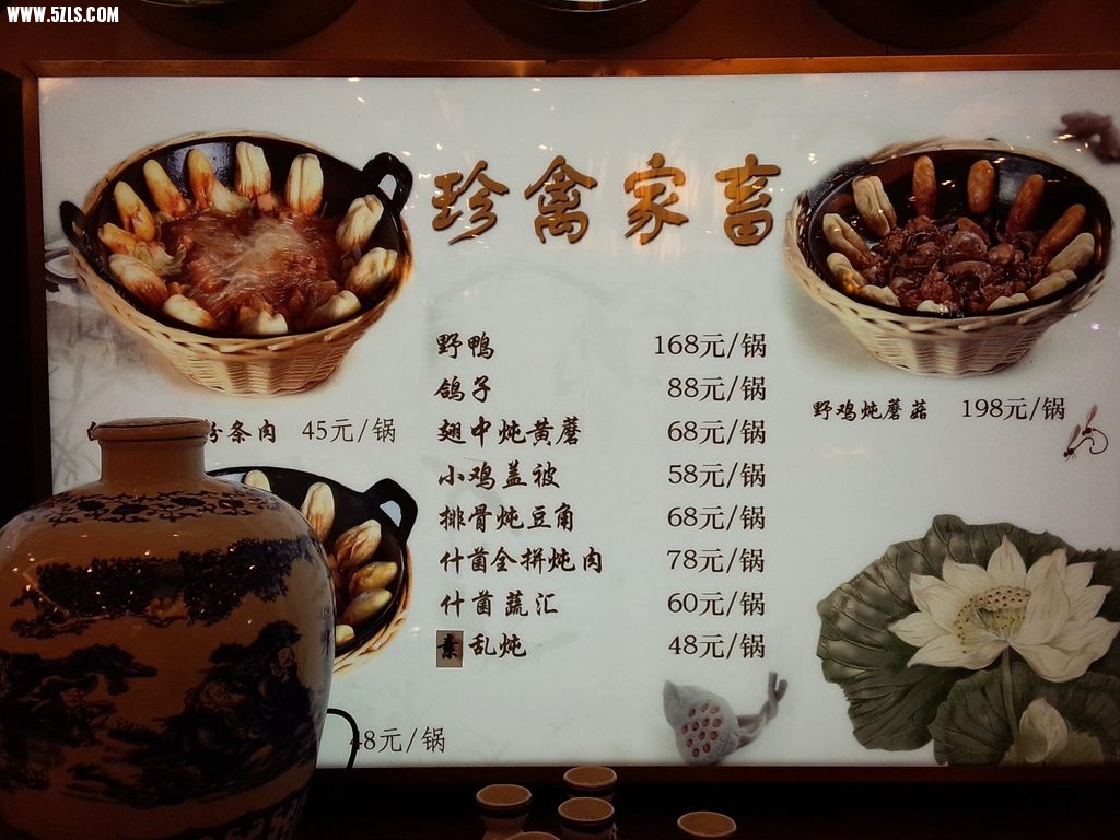 P41005-204356_.jpg