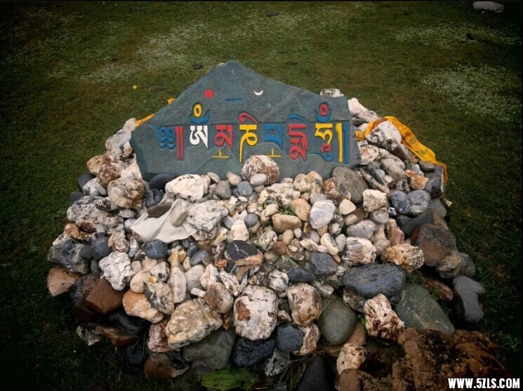 111.jpg