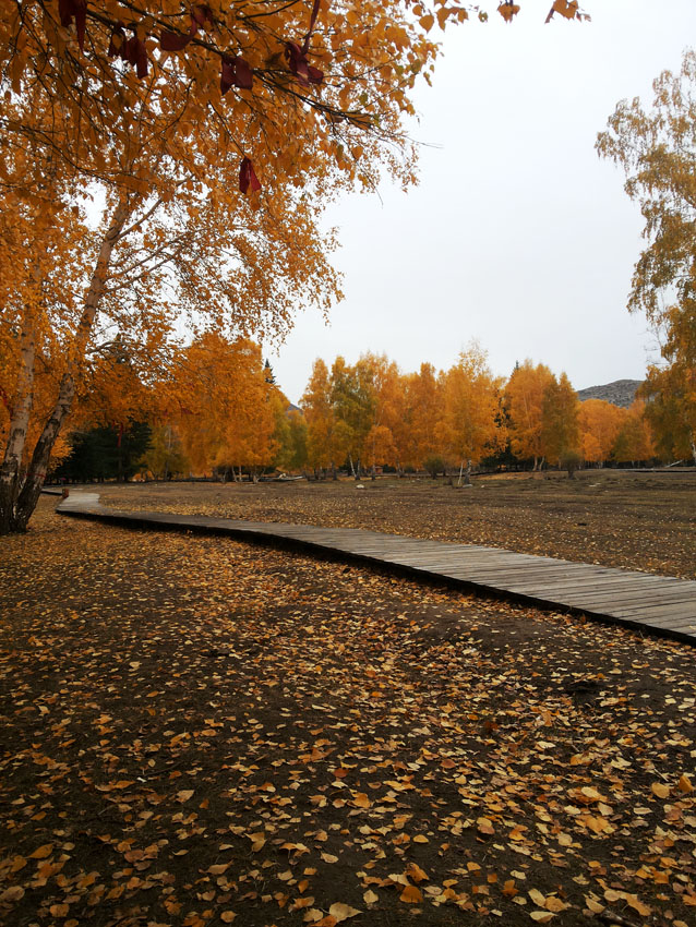 20141001_163918(1).jpg