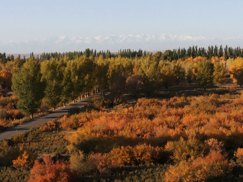 20141005_084707.jpg