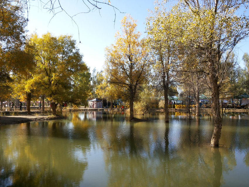 20141005_093356.jpg