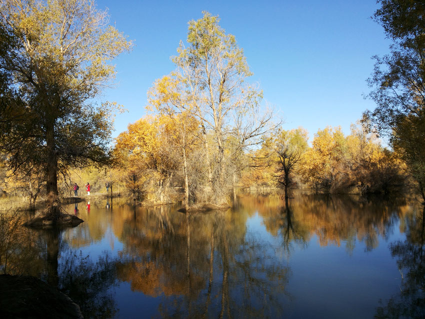 20141005_093455.jpg