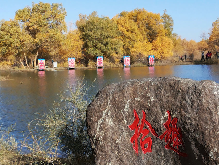 20141005_093752.jpg