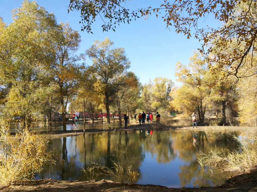 20141005_095158.jpg