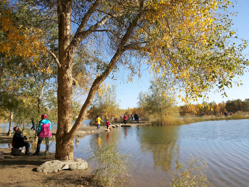 20141005_095221.jpg
