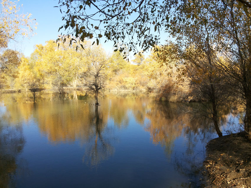 20141005_095626.jpg