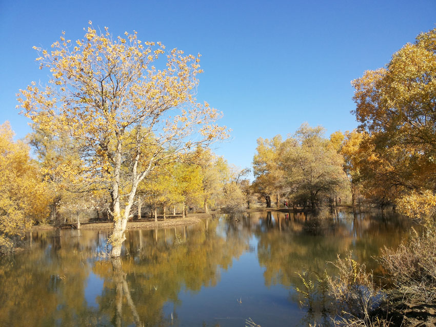 20141005_095704.jpg