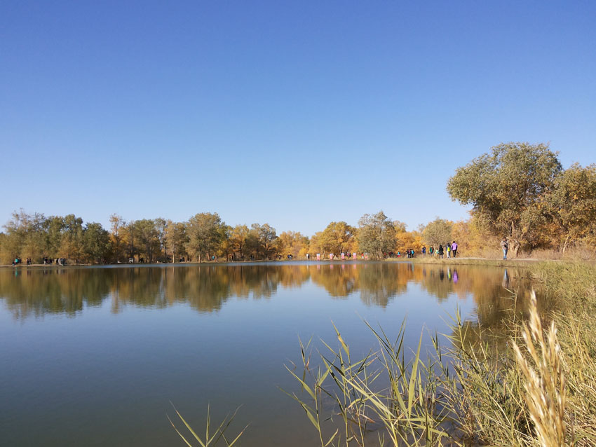 20141005_100208.jpg