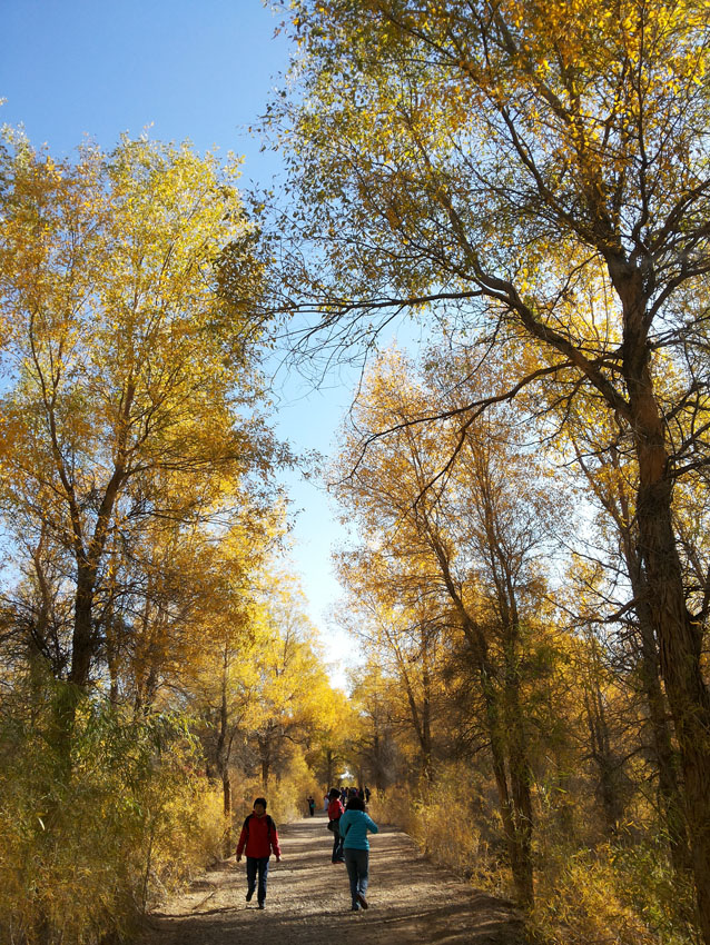 20141005_100907.jpg