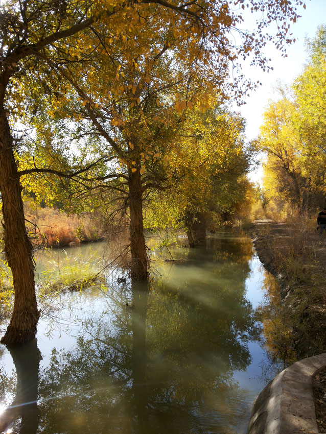 20141005_101541.jpg