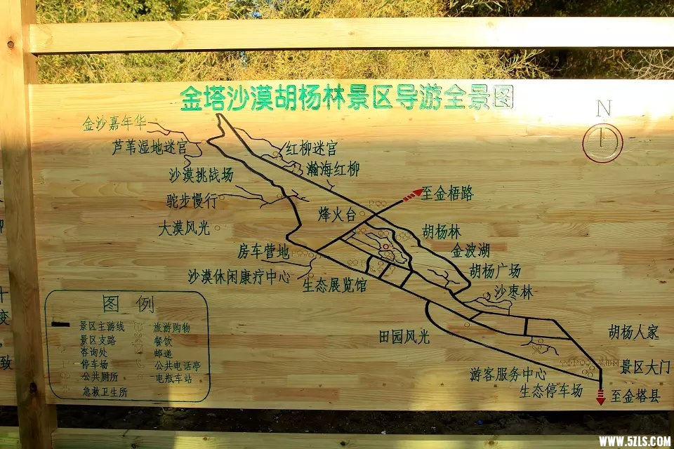 psb11.jpg