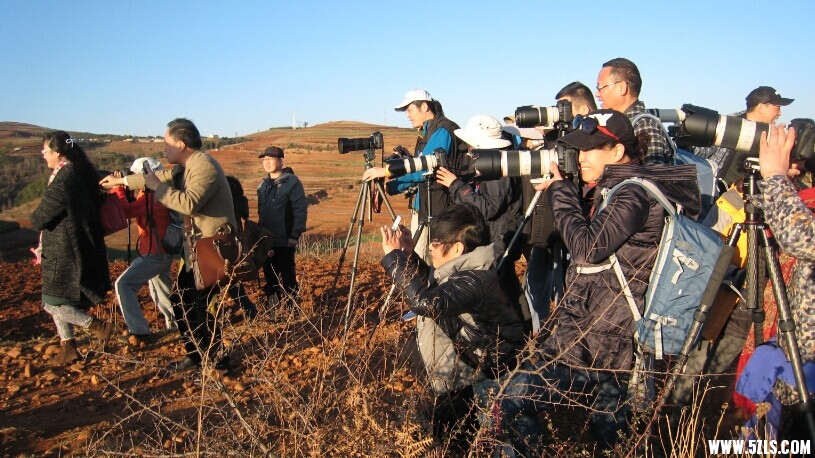 QQ图片20141021221624.jpg