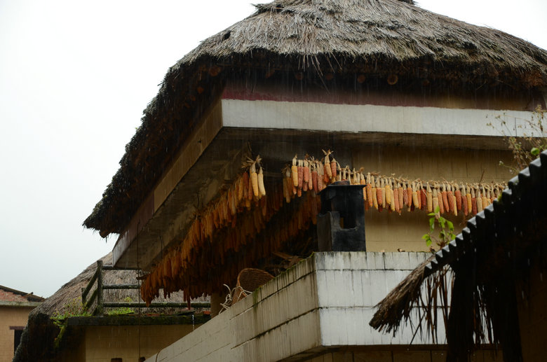 DSC_5197.JPG