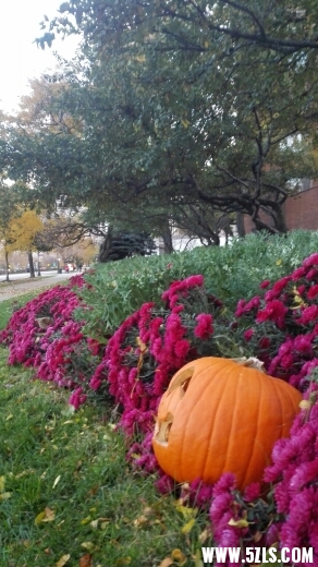 133816ych26199xbb94xga.jpg