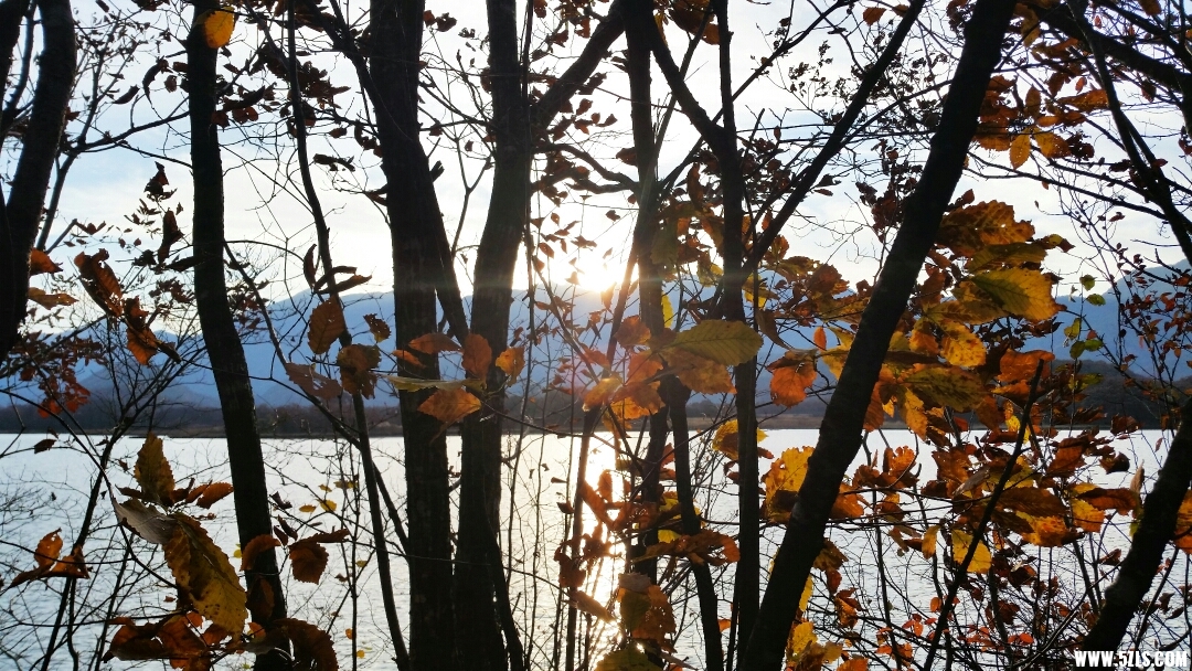 002647zxlh9h2a8xlh286f.jpg