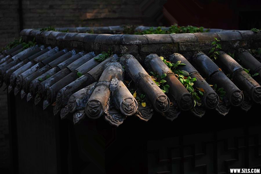 1SC_1653_副本_副本.jpg