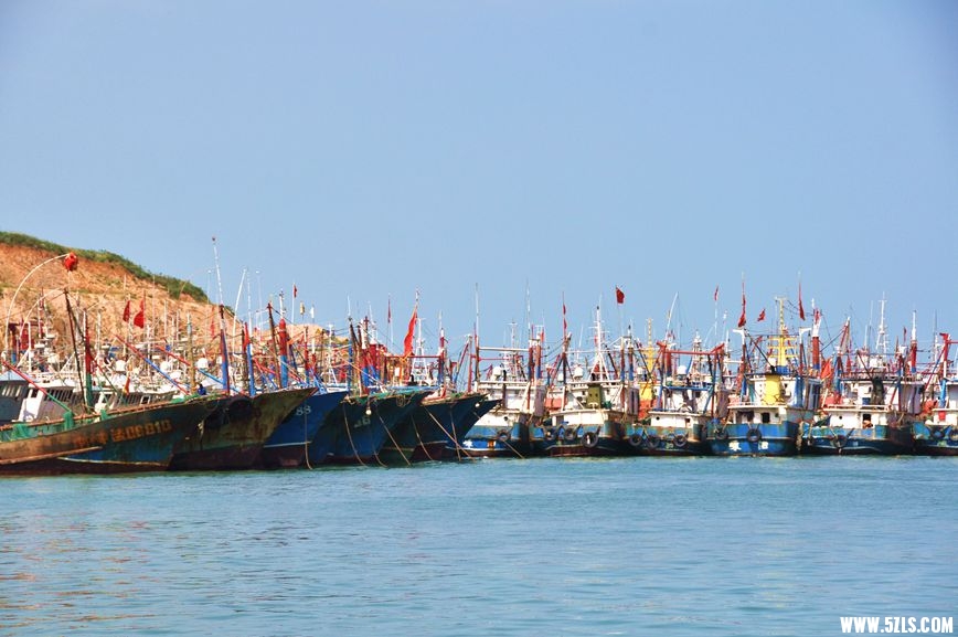 DSC_1024_.jpg