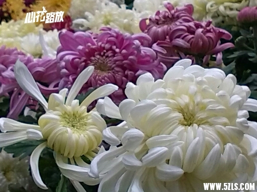 201233s6mrqrxyayyhr6wa.jpg
