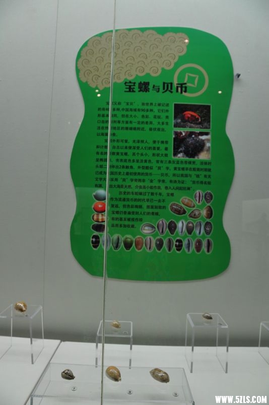 DSC_1098_.jpg