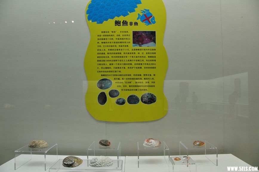 DSC_1115_副本.jpg