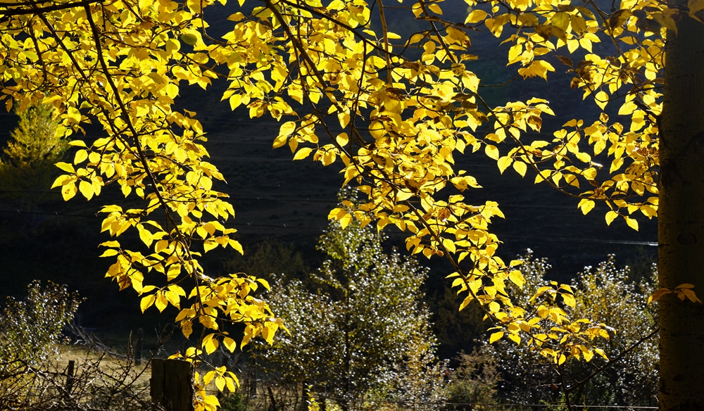 DSC06996_.jpg