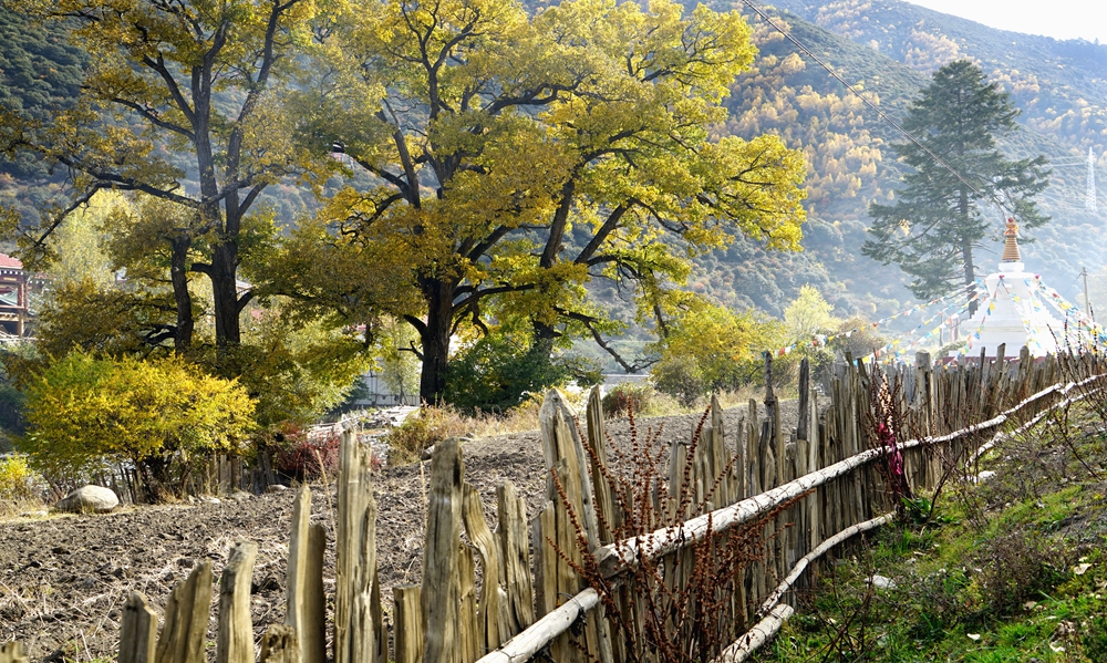 DSC07370_.jpg