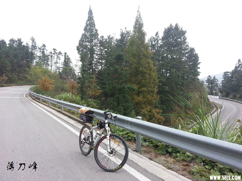 20141101_122812 - .jpg