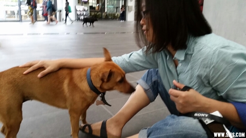 201206bd7nngaacy09jn91.jpg