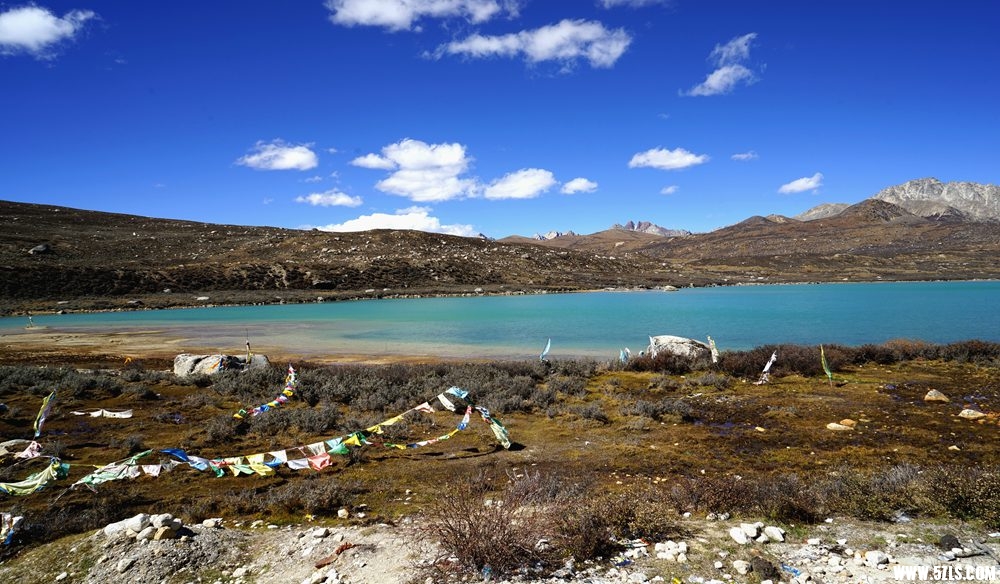 DSC08005_.jpg