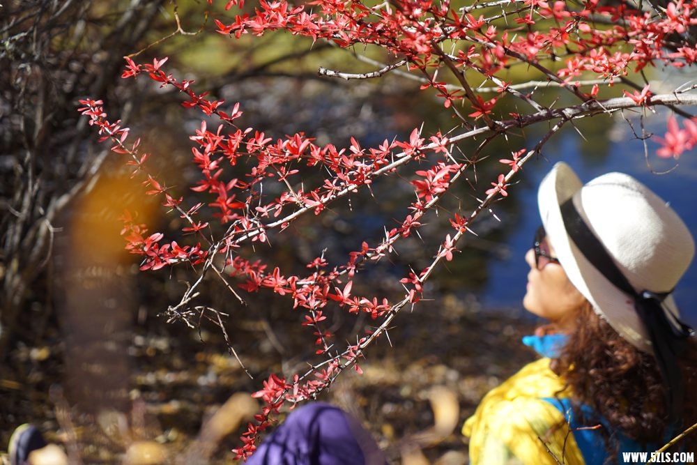 DSC08244_.jpg