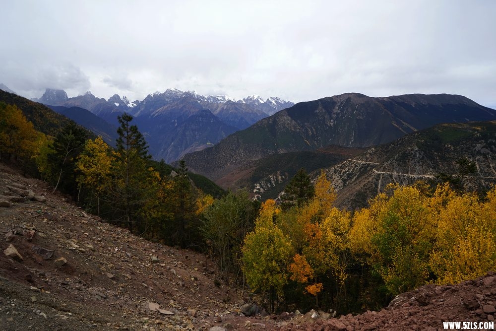 DSC08396_.jpg