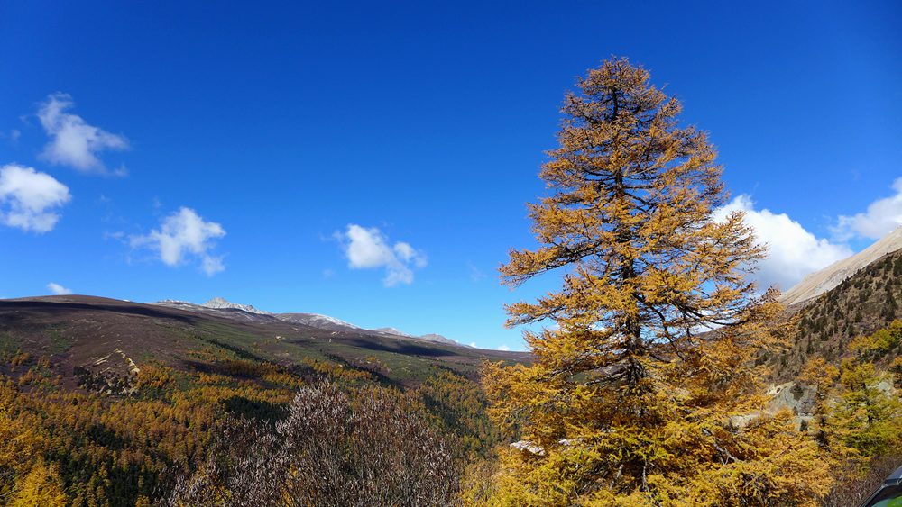 P1290871_.jpg