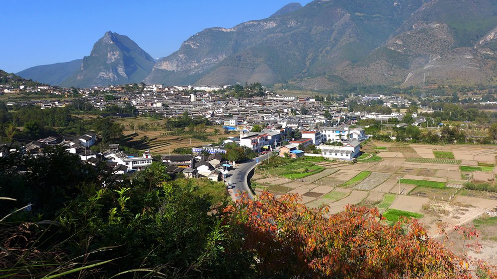P1290988_.jpg
