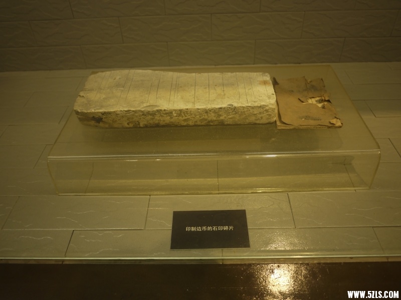 P1010043.JPG