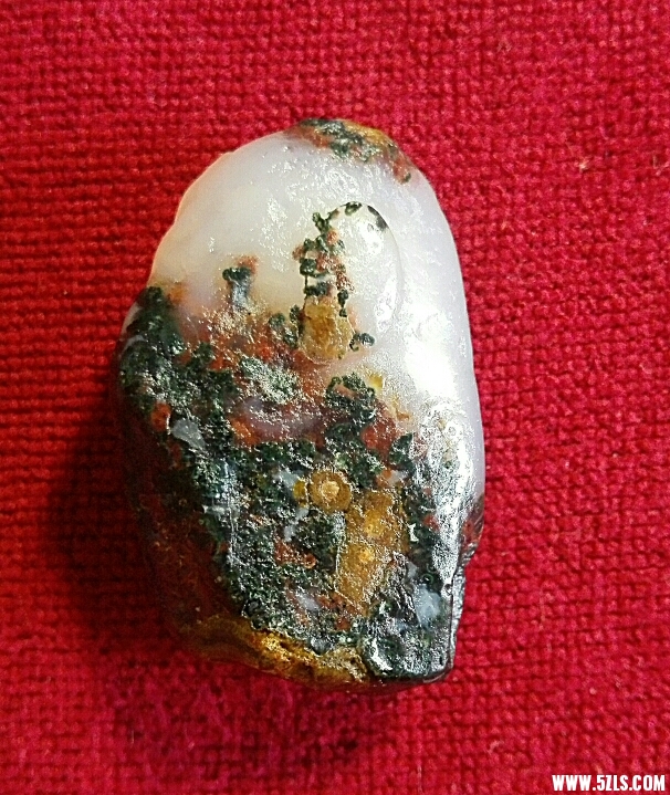 201030vpf1rvmmfbx88gvg.jpg