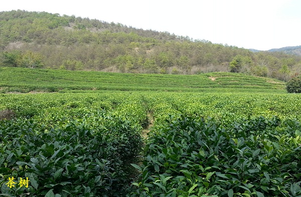 20141112_123851.jpg
