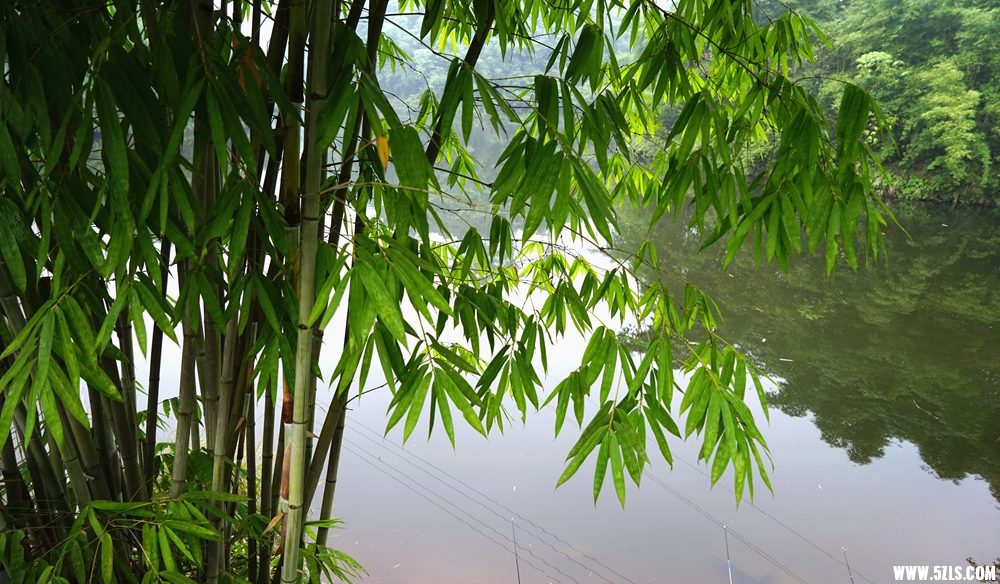 DSC09091_.jpg