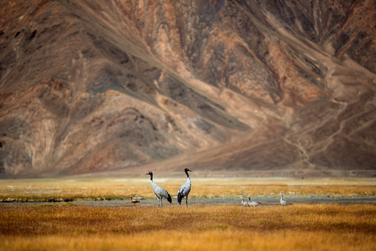 _L5A3455-169.jpg