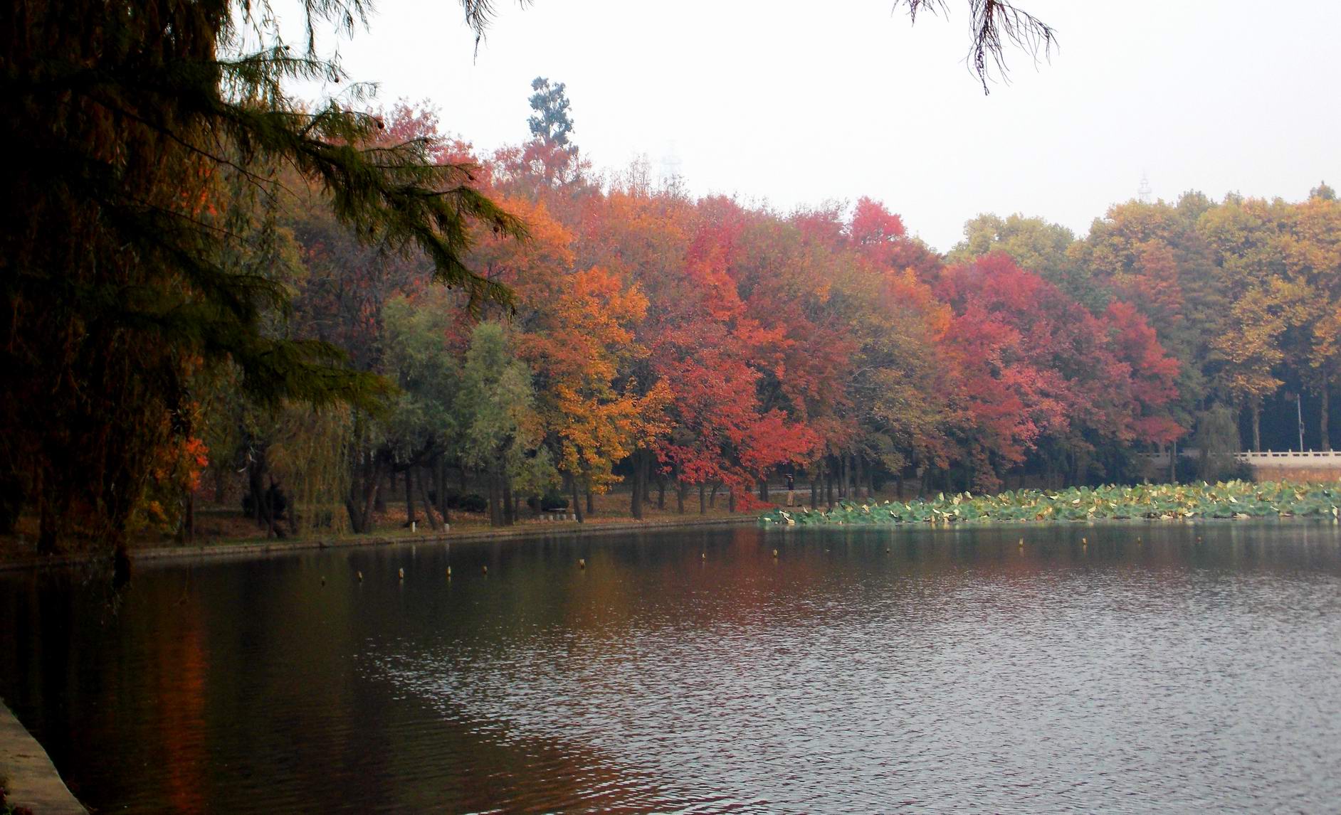 DSCN0221.JPG