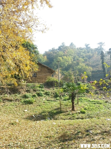 204219ezqcem0b246z6cee.jpg