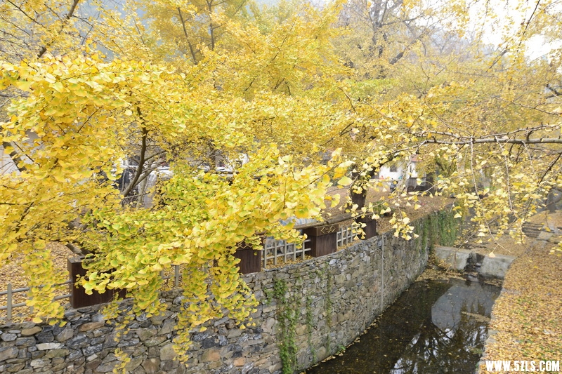 OCO_6885_调整大小.jpg