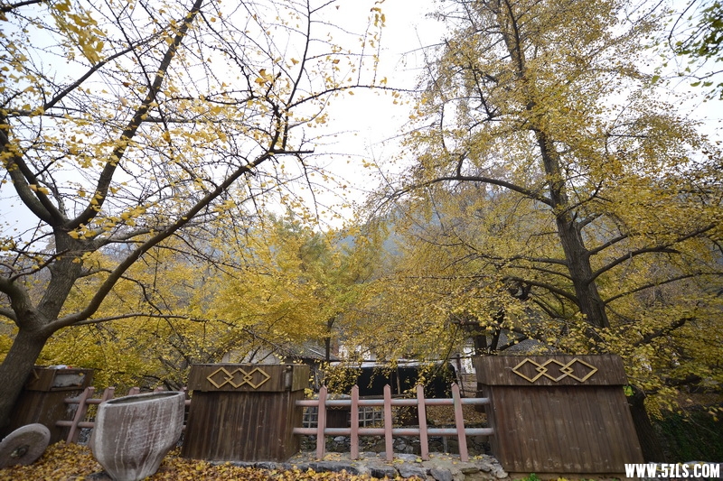OCO_6879_调整大小.jpg