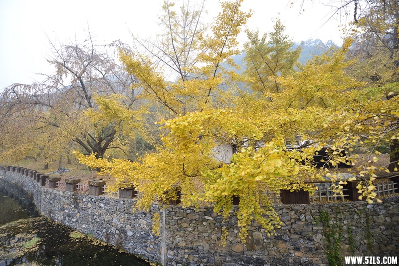 OCO_6881_调整大小.jpg