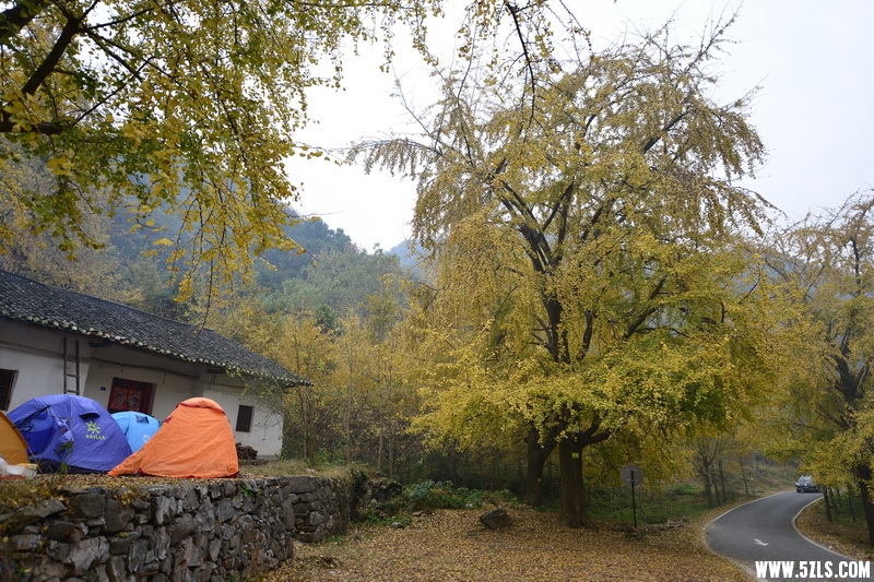 OCO_6891_调整大小.jpg