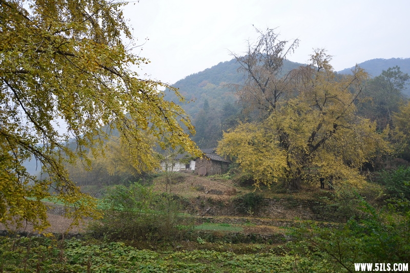 OCO_6895_调整大小.jpg